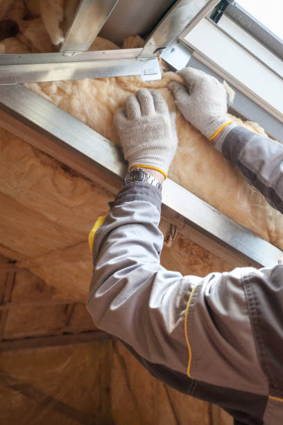 Best Insulation Installation Services in Indian Harbour Beach, FL